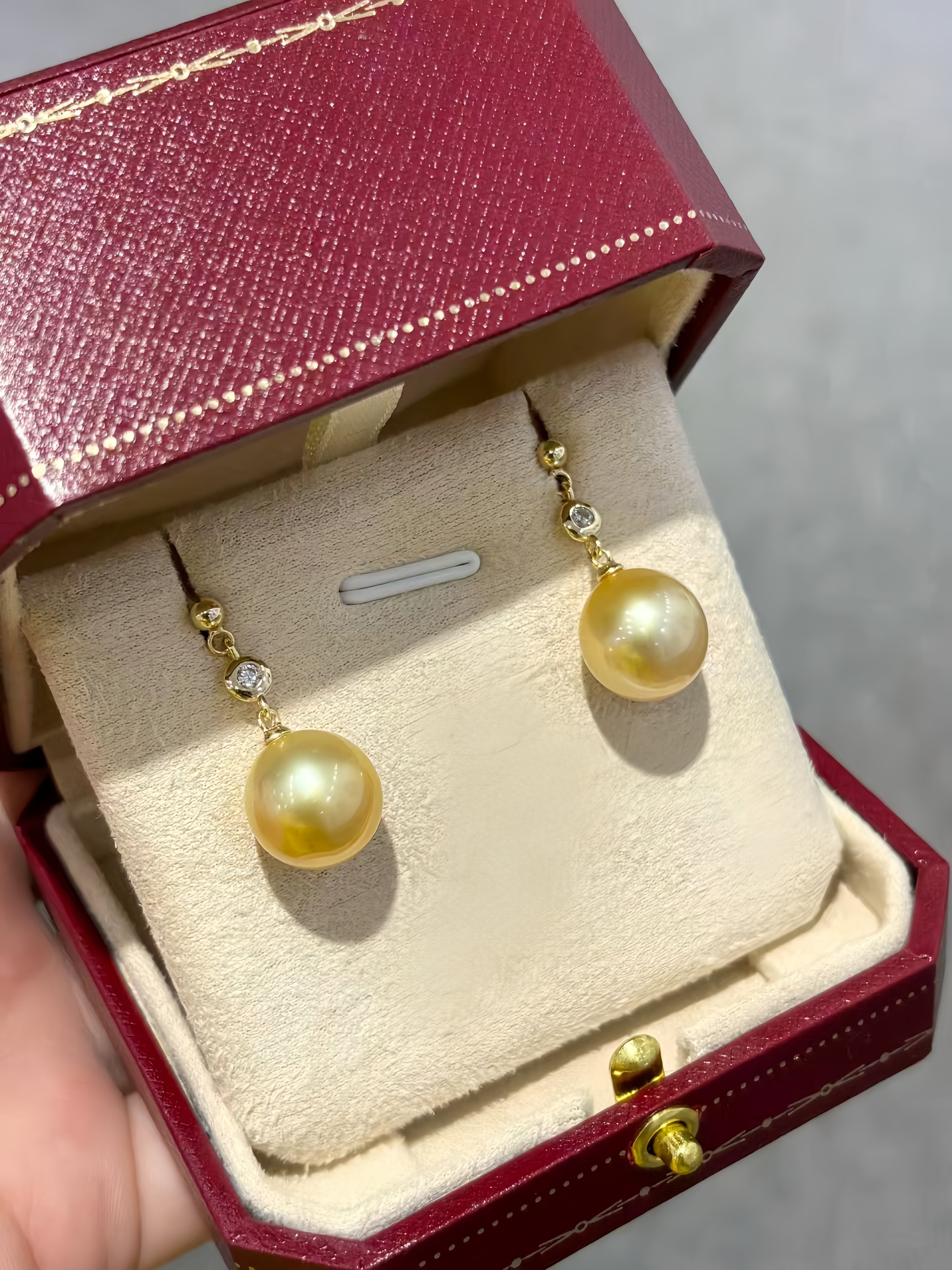 11-12mm South Sea Gold Pearl Earrings E.01