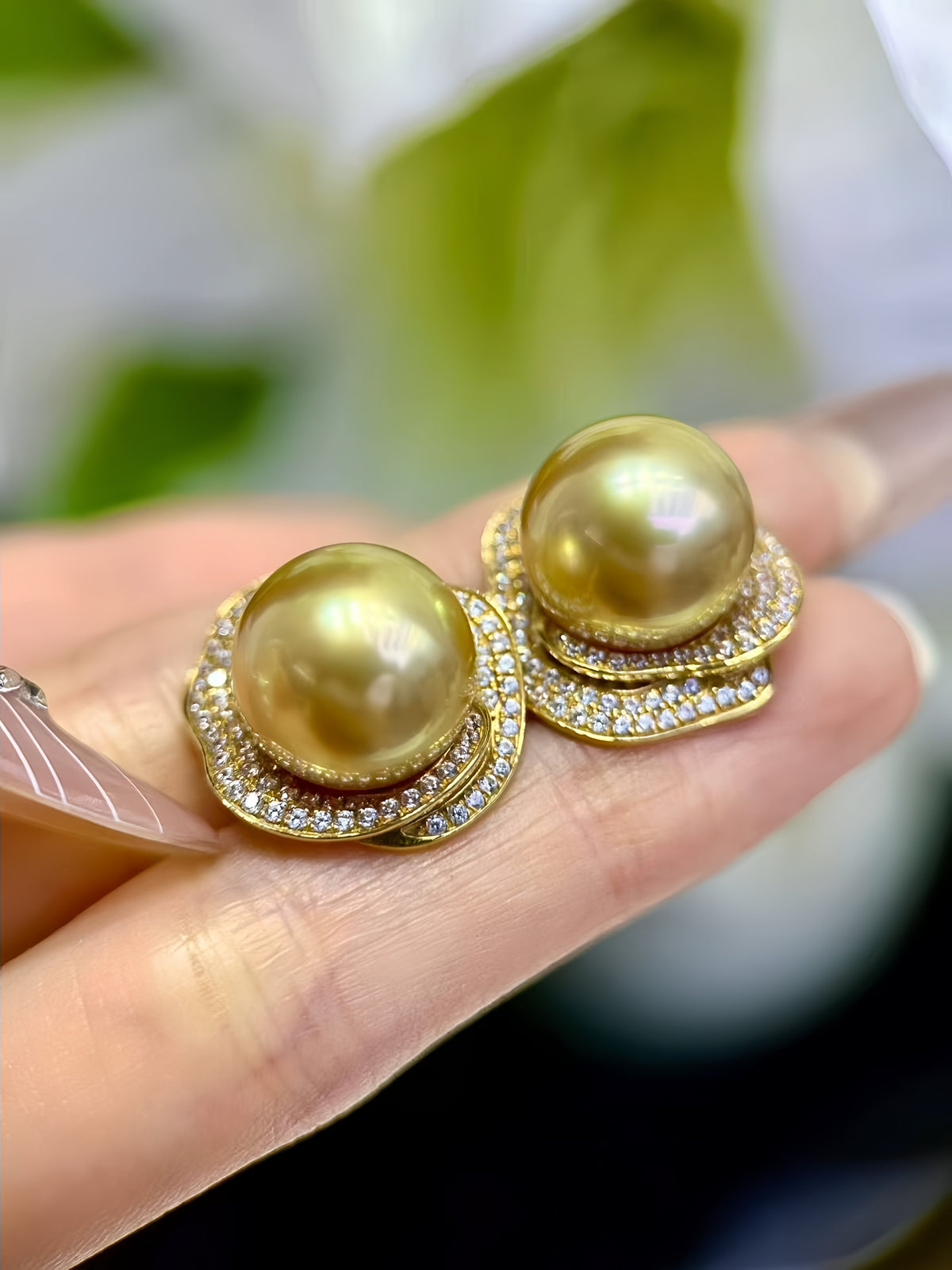 12-13mm South Sea Gold Pearl Earrings/18K Gold E.02