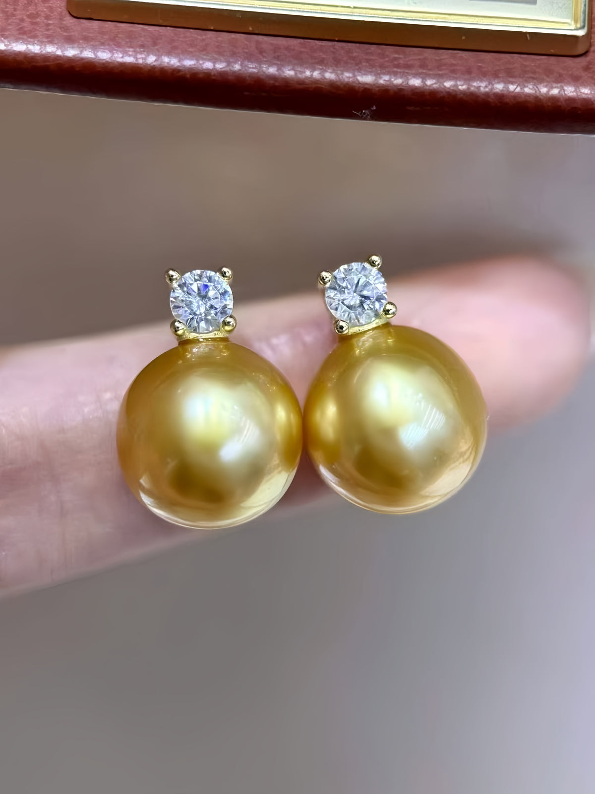 10-11mm South Sea Gold Pearl Earrings E.02