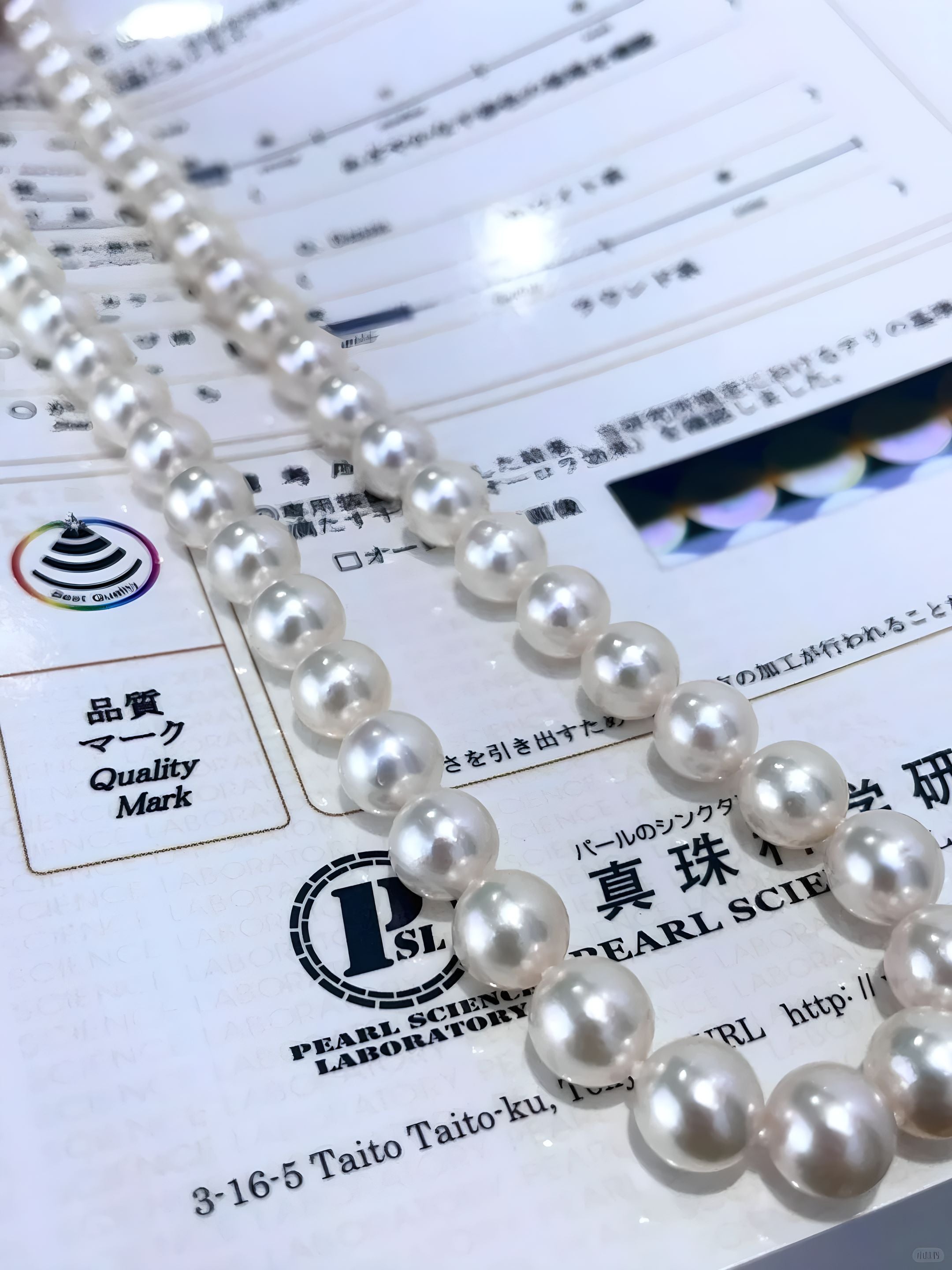 Can You Trust Pearl Certifications? A Closer Look at the China Pearl Science Institute