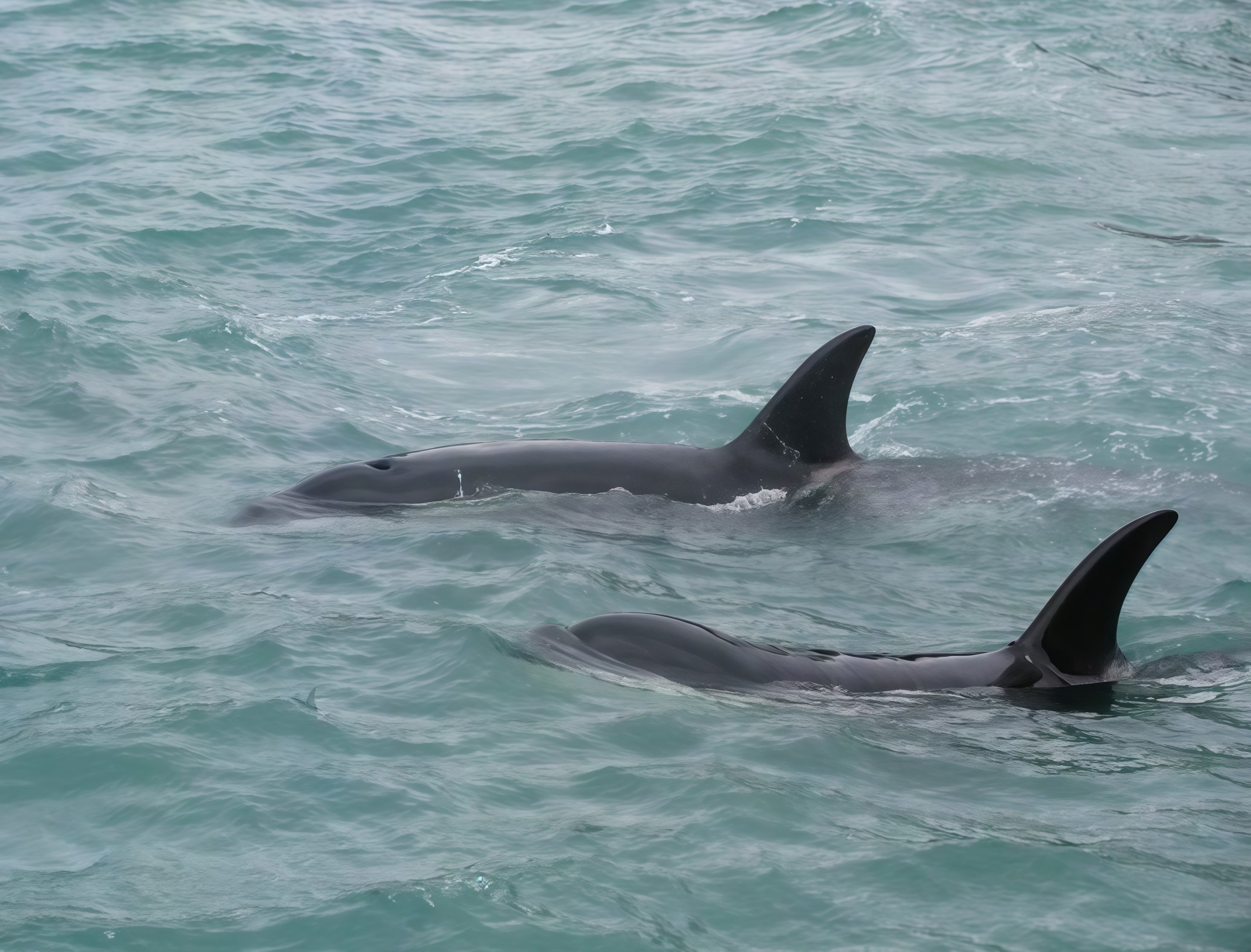 Chapter 2 — Leaving Home to Find Home