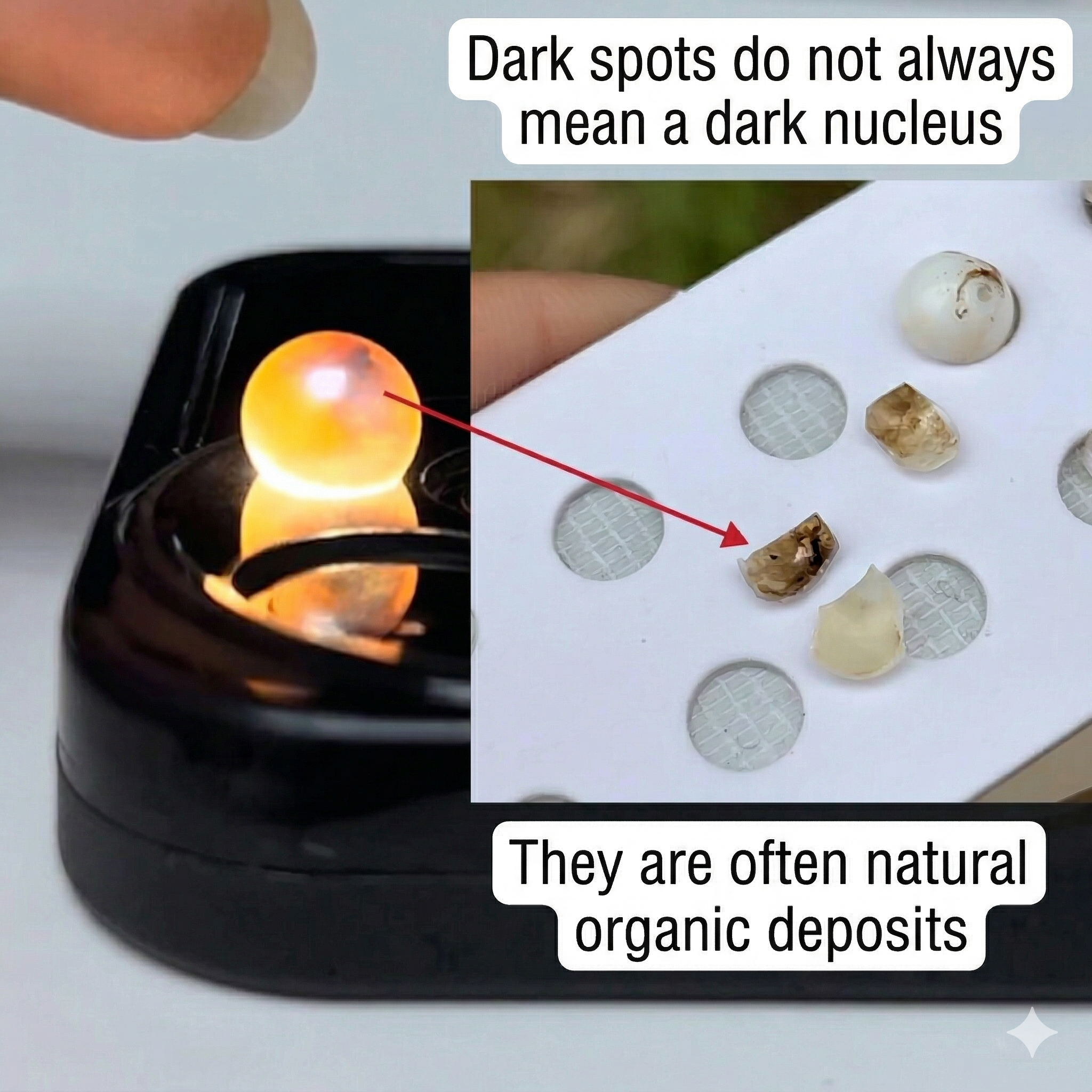 Gray Akoya pearl under transmitted light with a darker internal patch and an inset showing cut pearl parts that reveal natural organic deposits