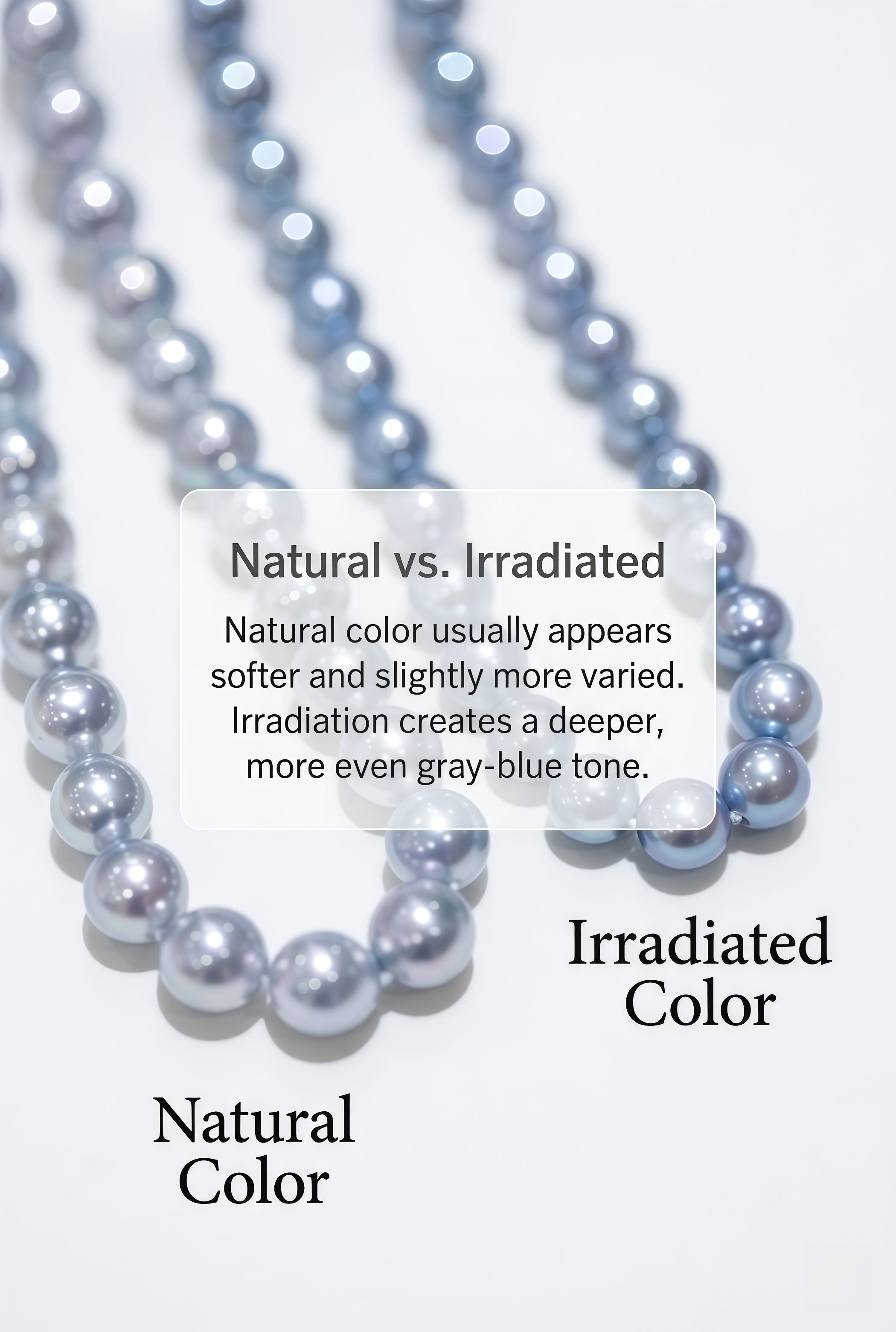 Comparison of natural-color and irradiated-core Akoya gray pearls with face-up pearls shown above and bead nuclei shown below