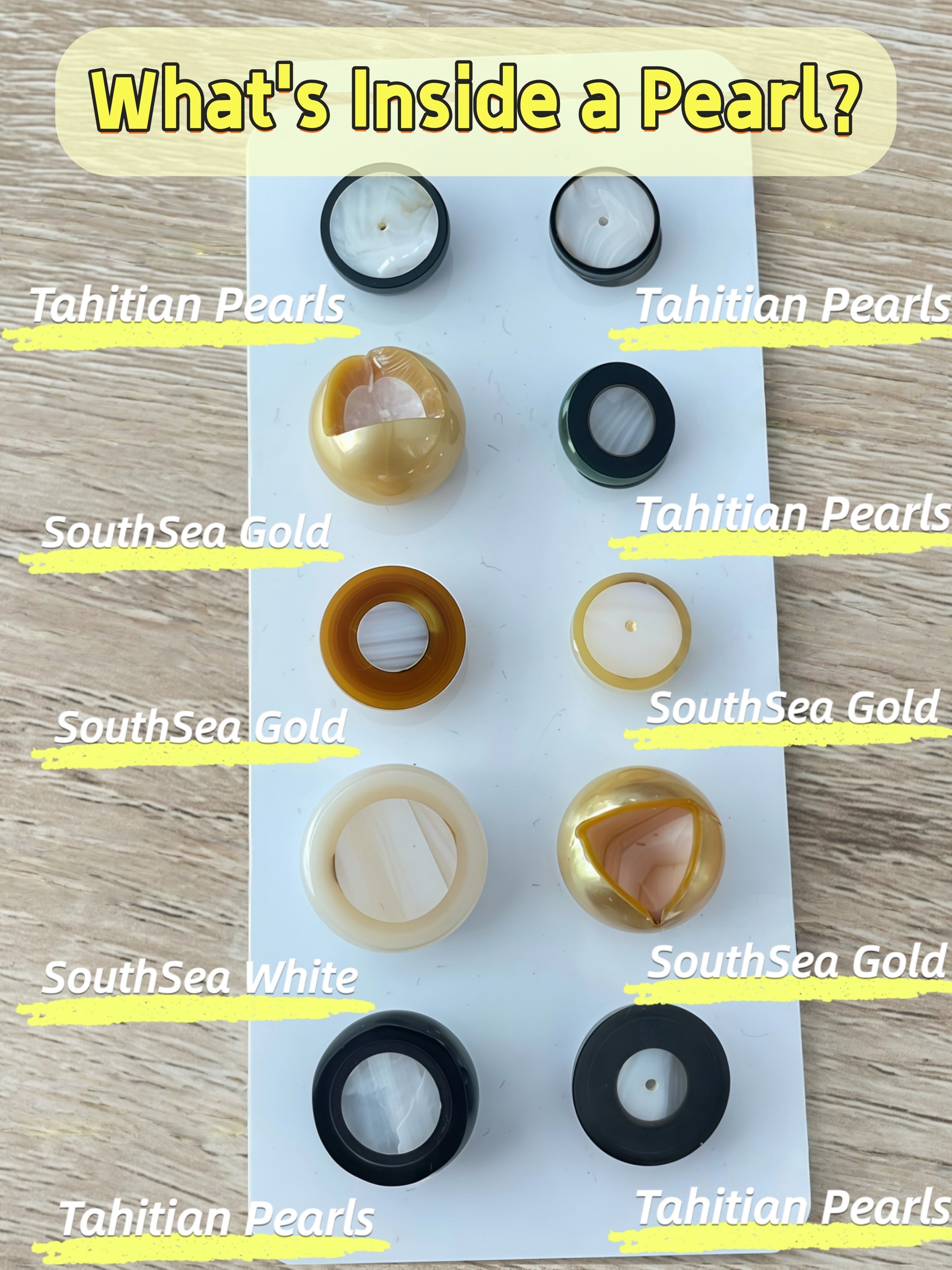 Cut pearl cross-sections showing bead nucleus and nacre thickness in Tahitian and South Sea pearls, explaining how nacre relates to pearl price