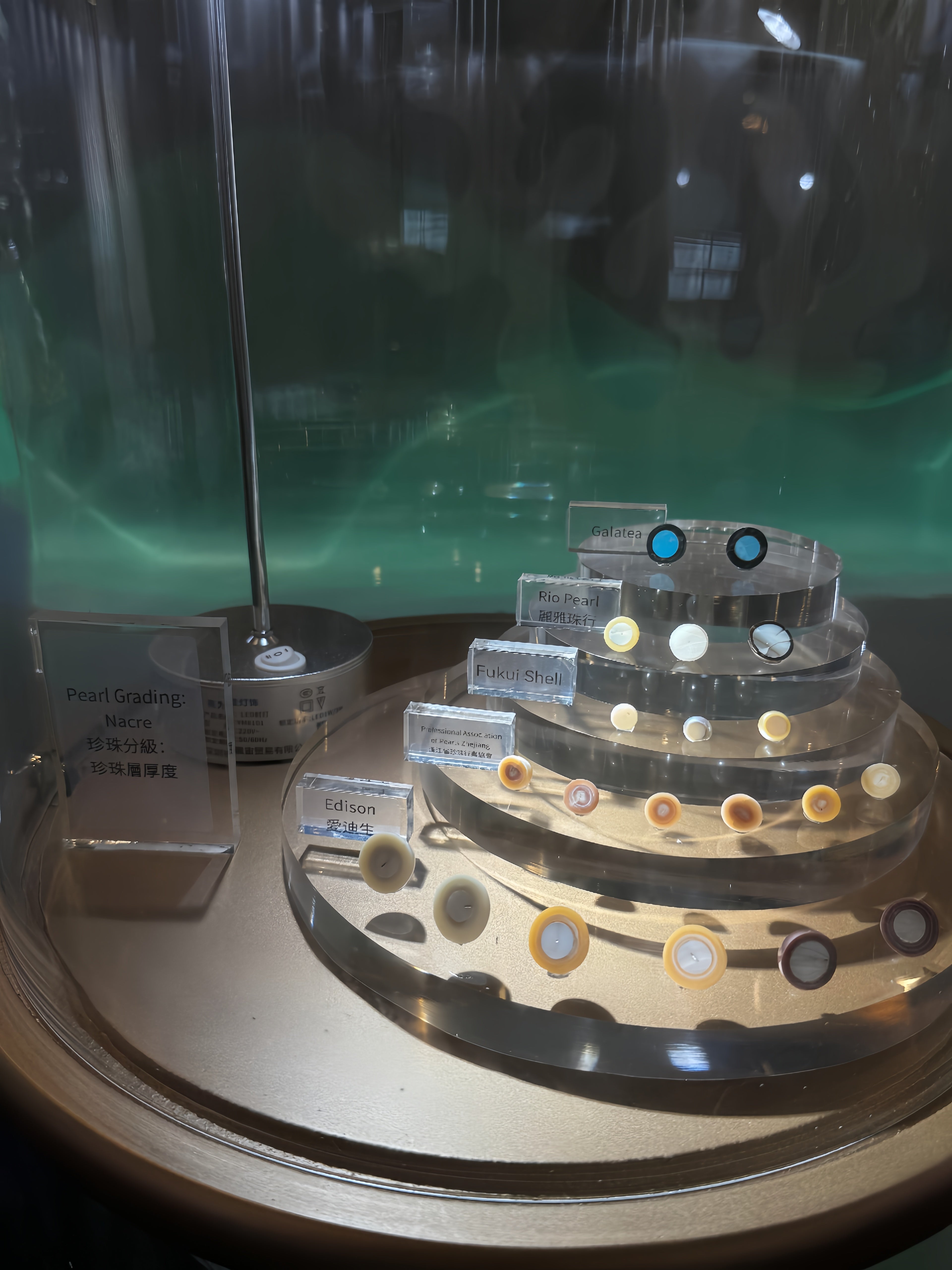 Cut pearl cross-sections showing bead nucleus and nacre thickness, explaining durability and pearl price