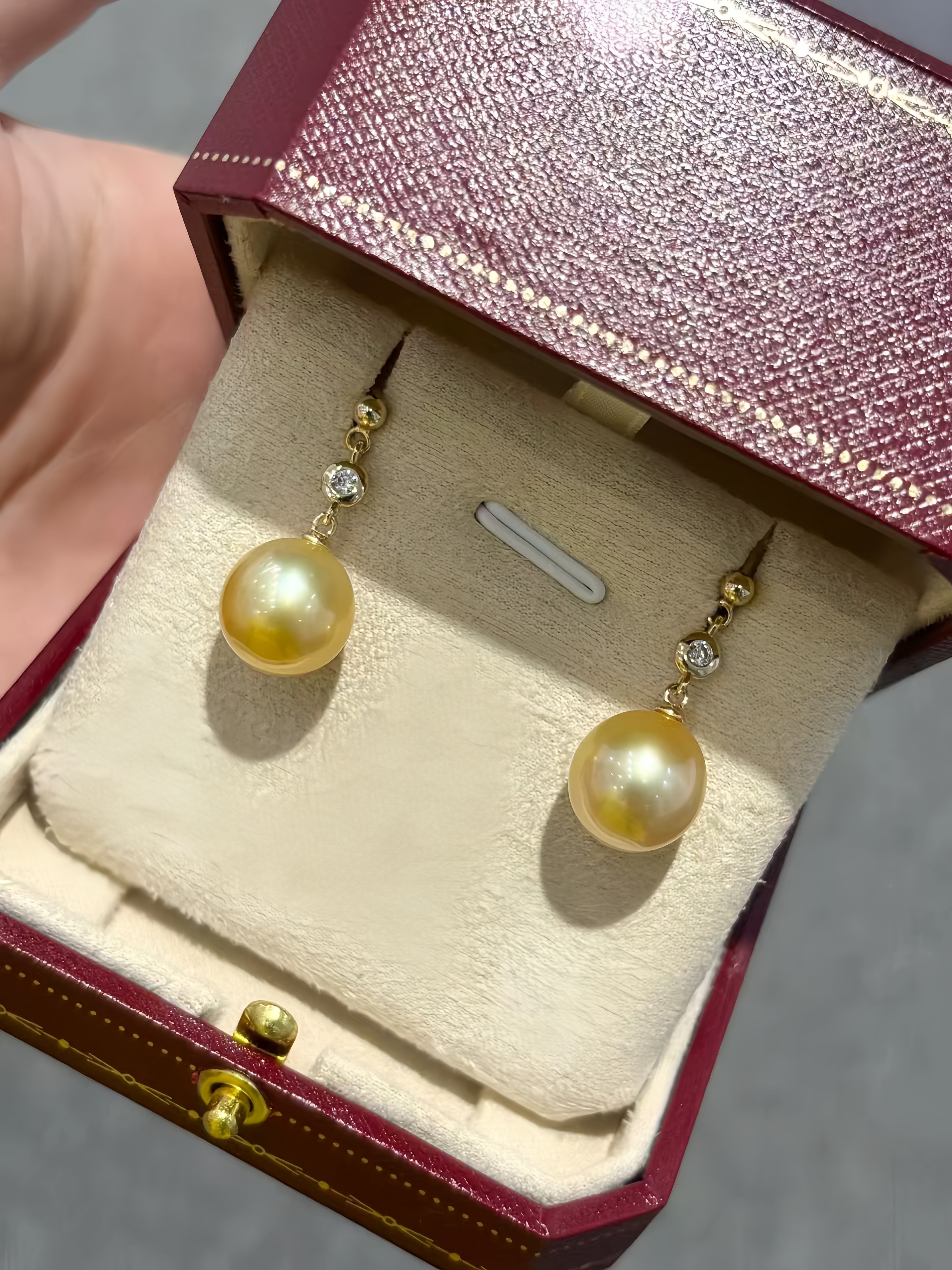 11-12mm South Sea Gold Pearl Earrings E.01
