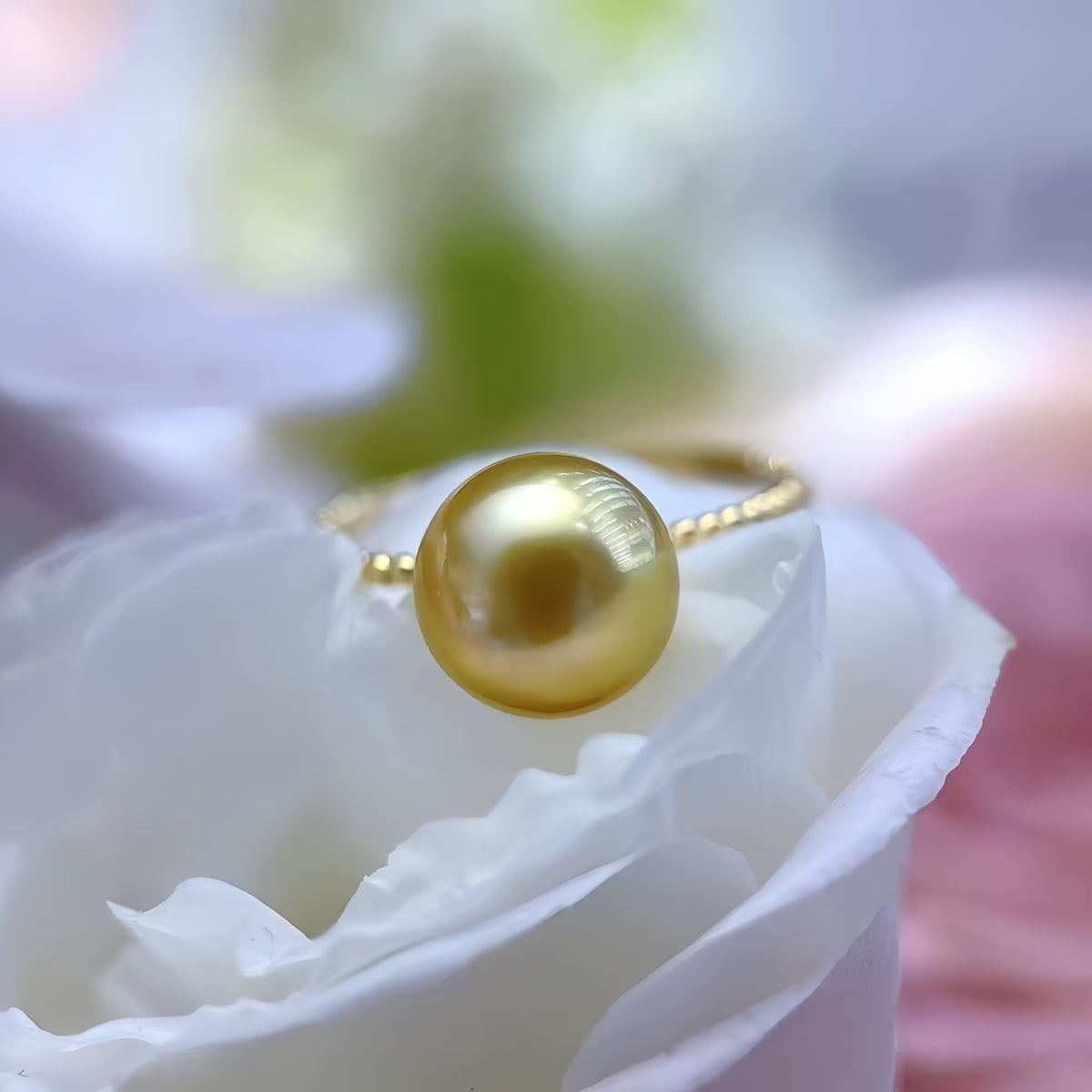 9-10mm South Sea Gold Pearl Ring/18K Gold R.01